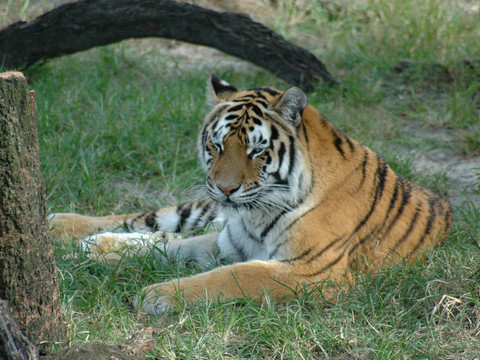 Captured 2004 10 18 00042